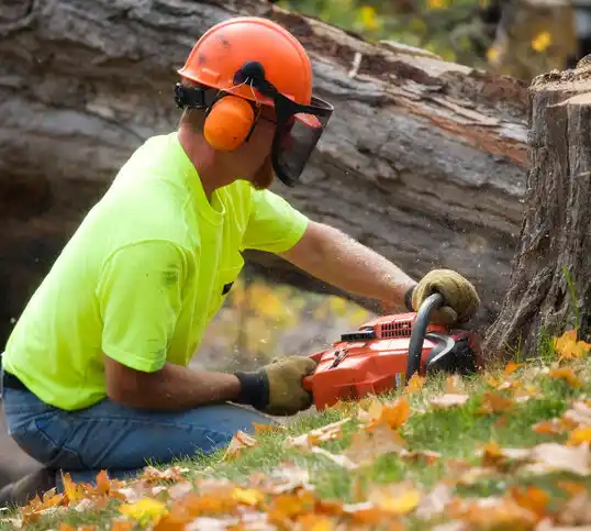 tree services Bawcomville